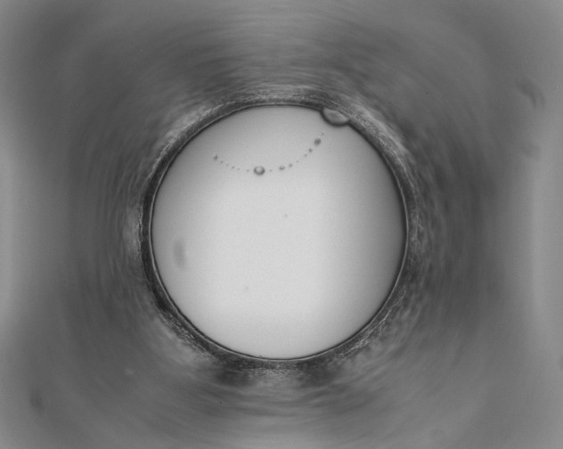 X0000111780107200908061124