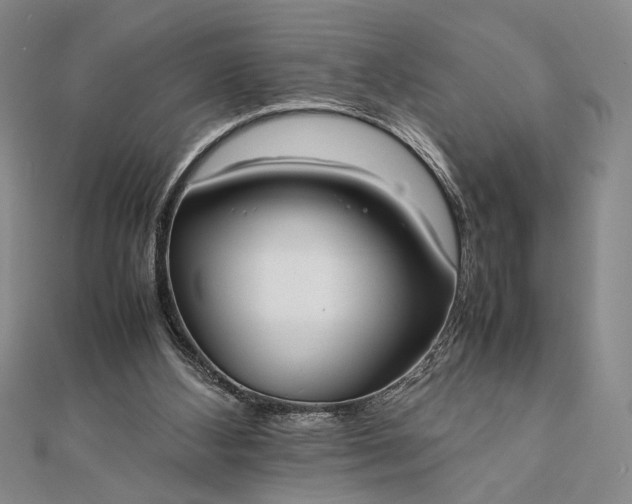 X0000111780108200908061124