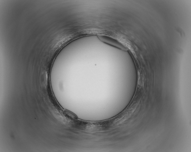 X0000111780109200908061124