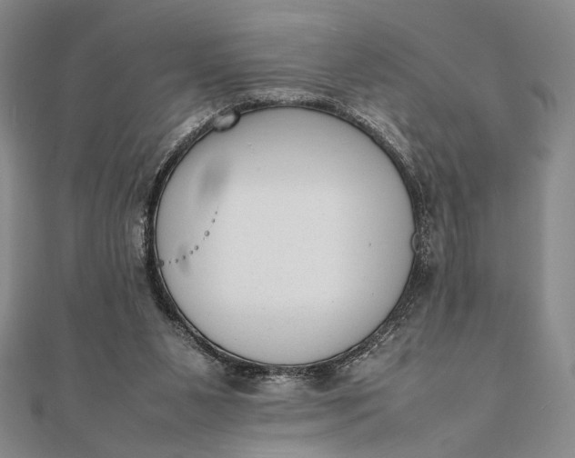 X0000111780111200908061123