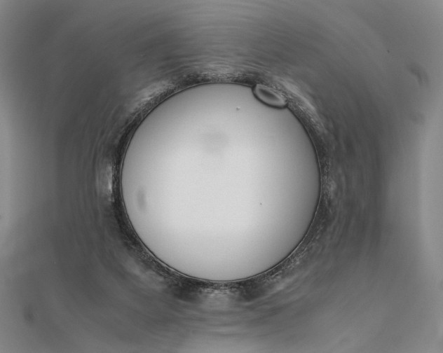 X0000111780115200908061123
