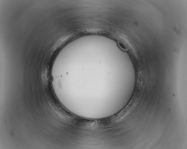 X0000111780116200908061123