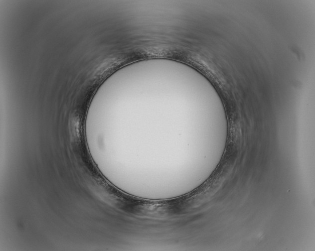X0000111780117200908061123