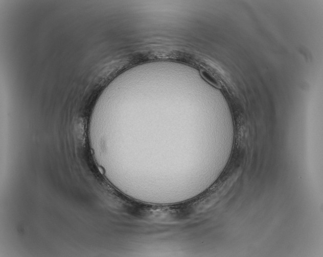 X0000111780121200908061123