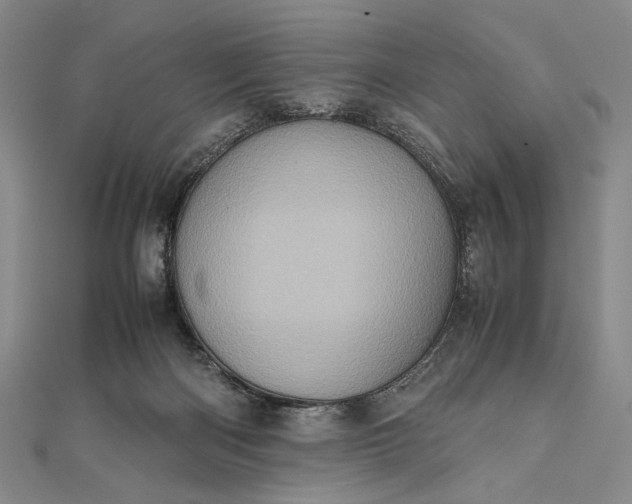 X0000111780122200908061123