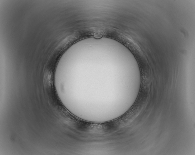 X0000111780123200908061123