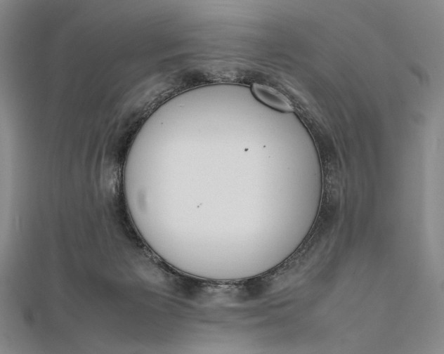 X0000111780125200908061123