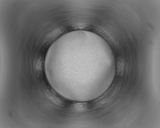 X0000111780126200908061123