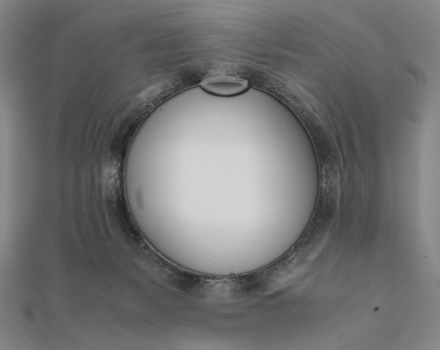 X0000111780127200908061123