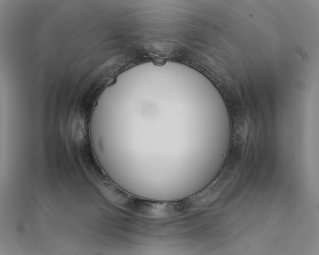 X0000111780130200908061123