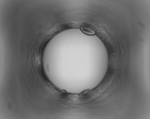 X0000111780131200908061123