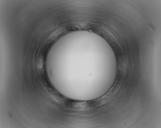 X0000111780132200908061123