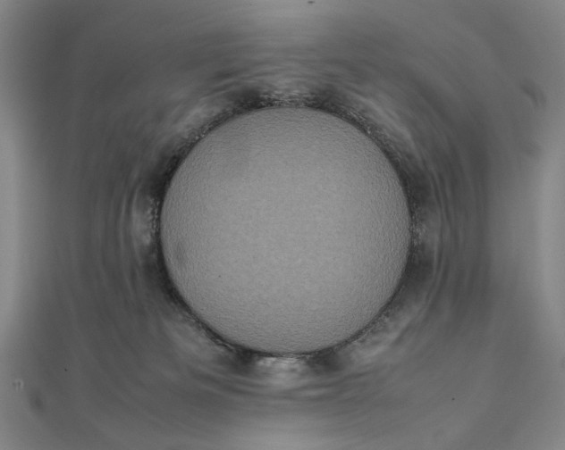 X0000111780133200908061123