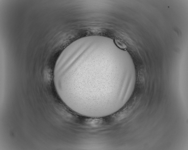 X0000111780135200908061123