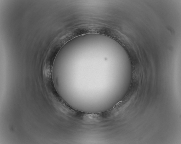 X0000111780137200908061123