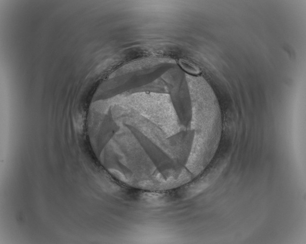 X0000111780139200908061123