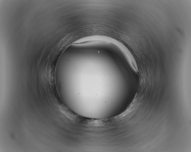 X0000111780140200908061123