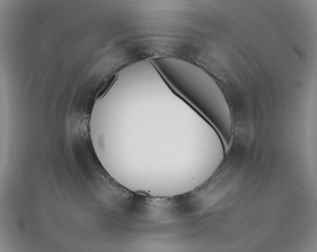 X0000111780141200908061123
