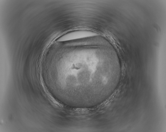 X0000111780145200908061122