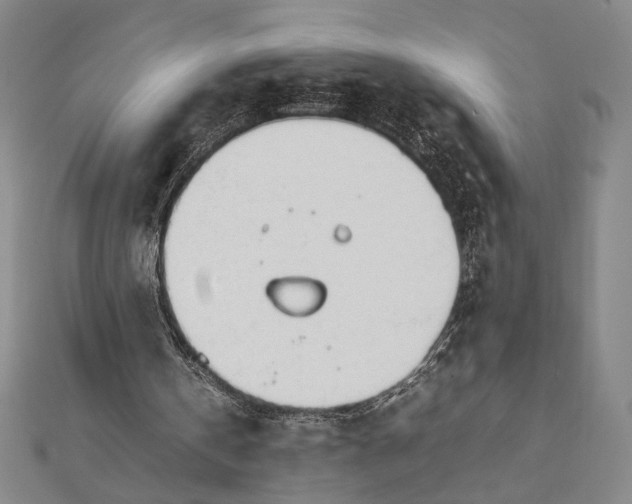 X0000111780146200908061122