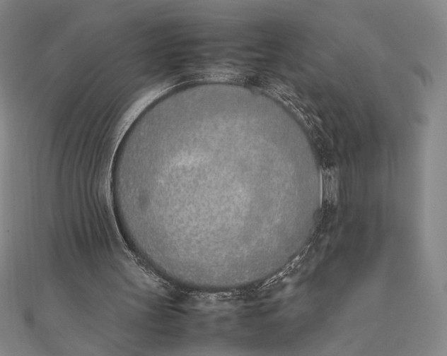X0000111780147200908061122
