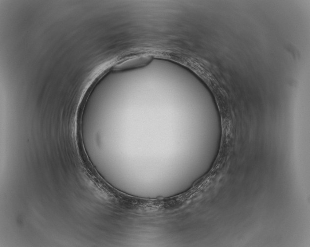 X0000111780148200908061122