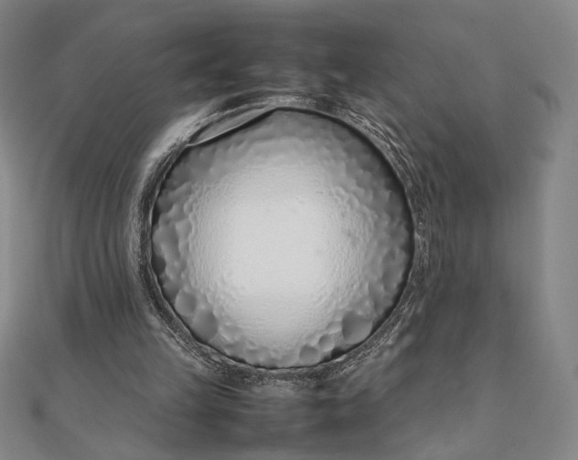 X0000111780149200908061122