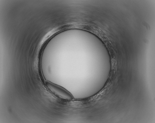 X0000111780150200908061122