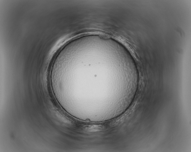 X0000111780151200908061122