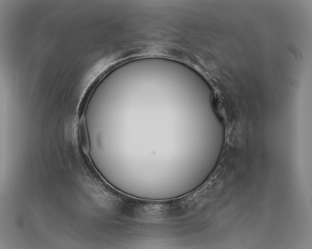 X0000111780152200908061122