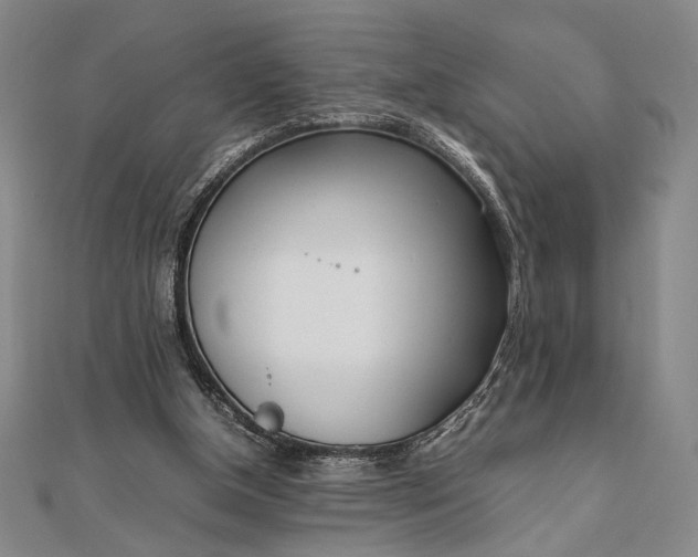X0000111780154200908061122
