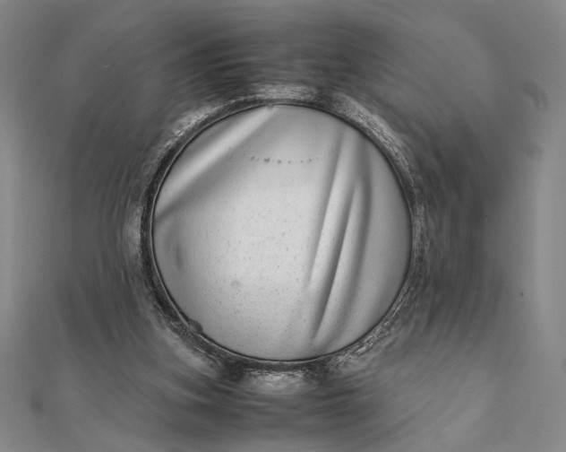 X0000111780155200908061122