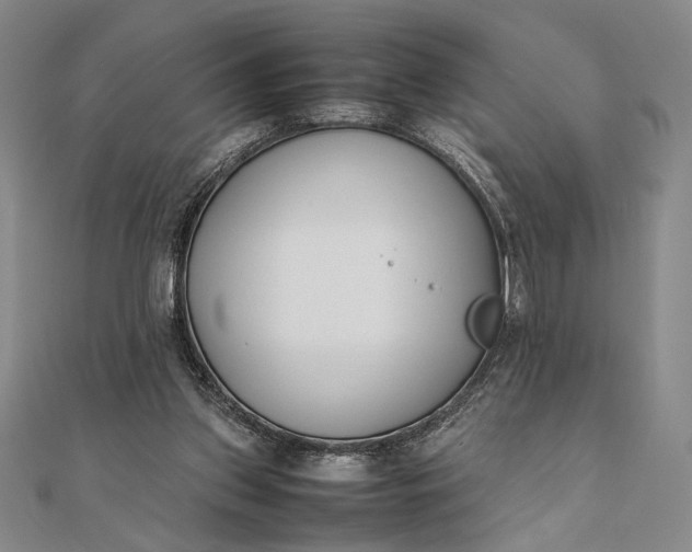 X0000111780157200908061122