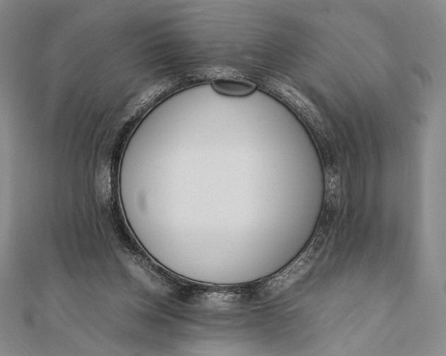 X0000111780158200908061122