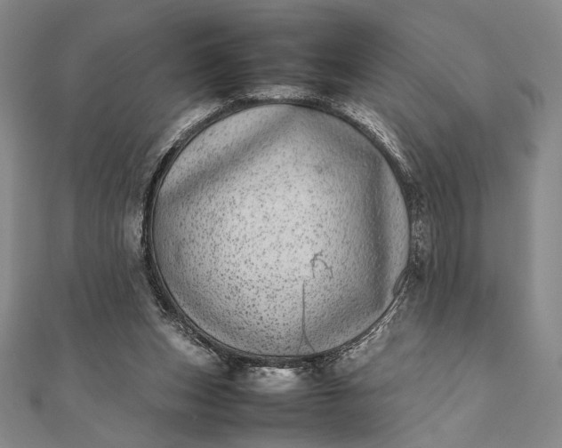 X0000111780159200908061122