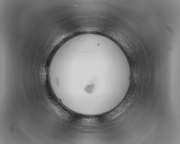 X0000111780160200908061122