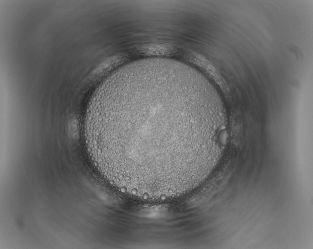 X0000111780161200908061122