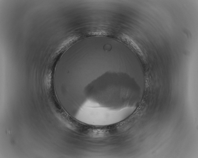 X0000111780163200908061123