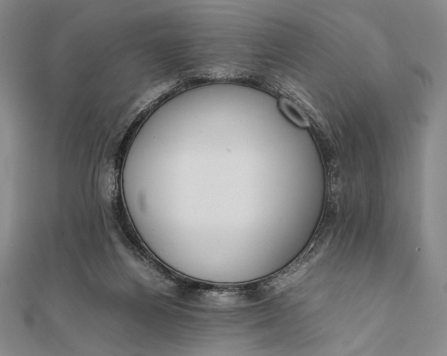 X0000111780164200908061123