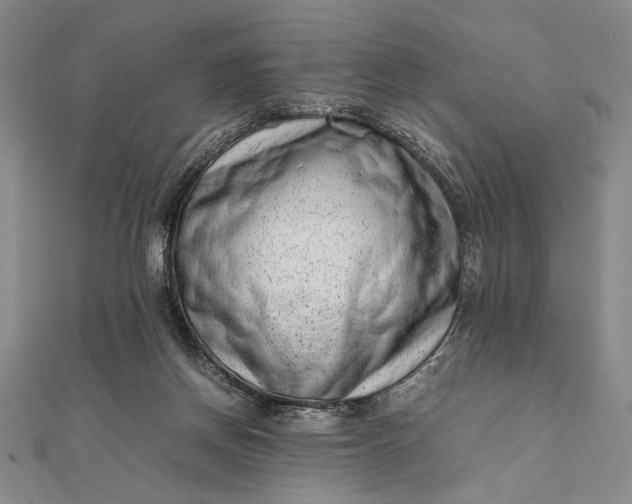 X0000111780166200908061123