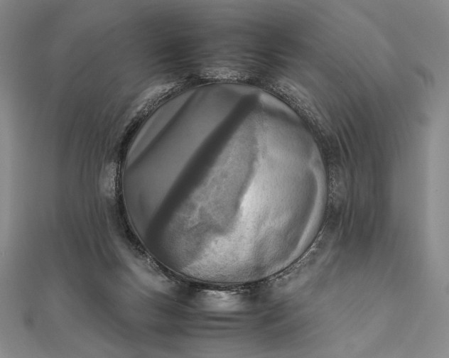 X0000111780167200908061123