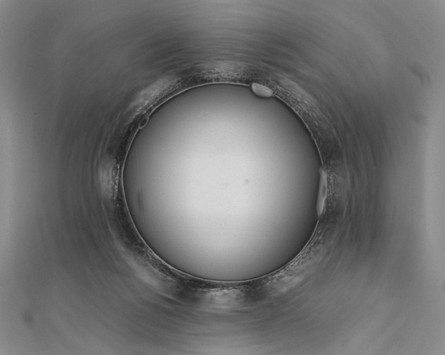 X0000111780168200908061123