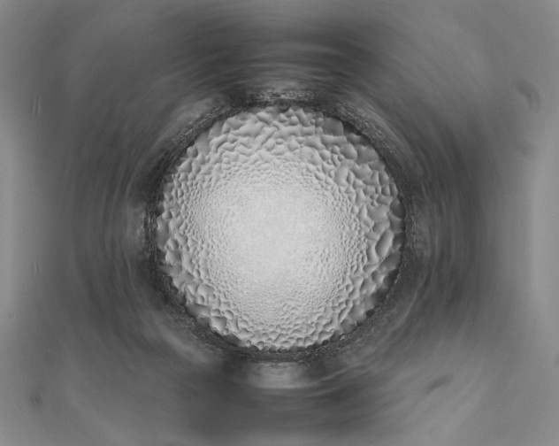 X0000111780169200908061123