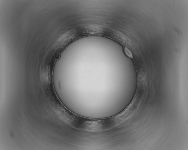 X0000111780170200908061123