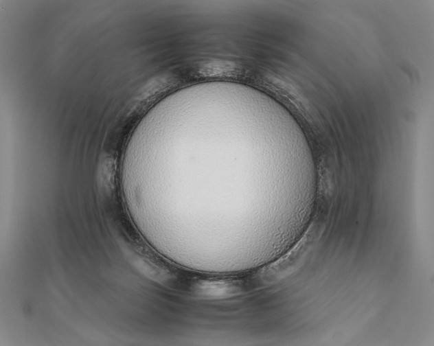X0000111780171200908061123