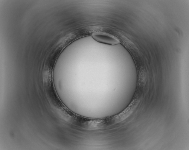 X0000111780172200908061123