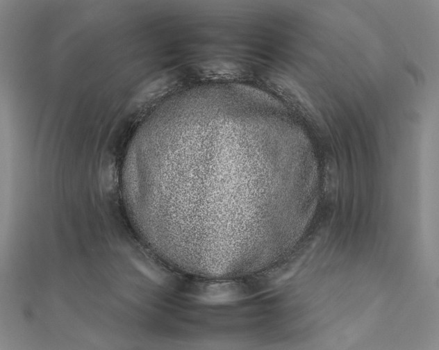 X0000111780173200908061123