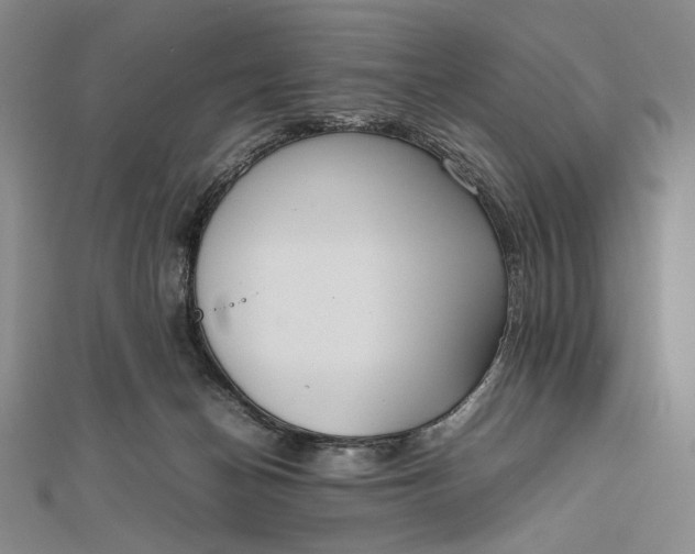 X0000111780174200908061123