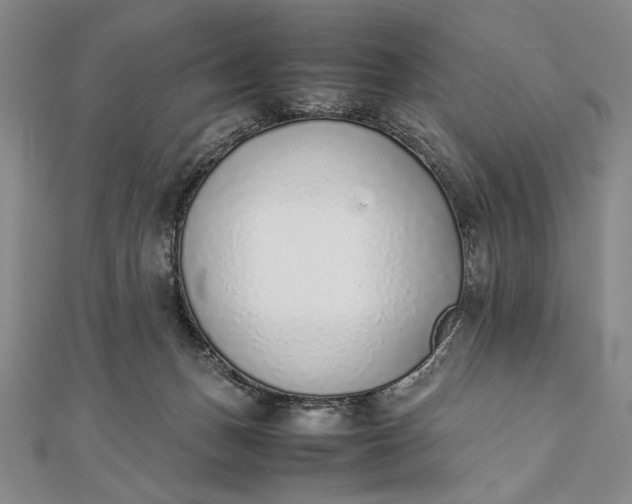 X0000111780175200908061123