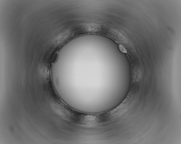 X0000111780176200908061123